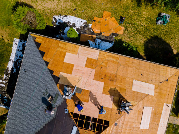 Best Commercial Roofing Services  in Farmer City, IL