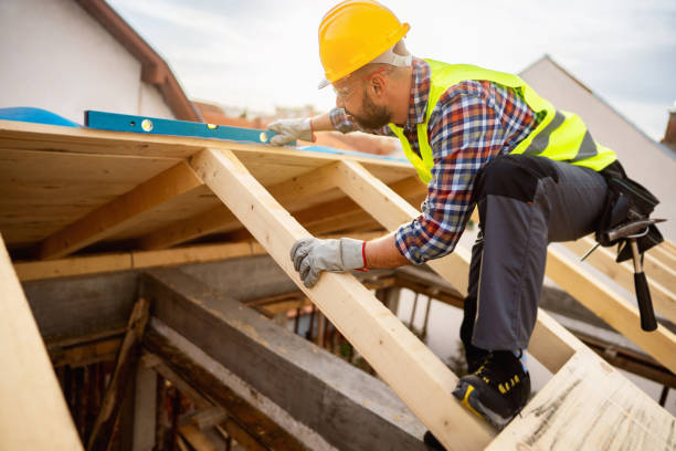 Best Roof Gutter Cleaning  in Farmer City, IL