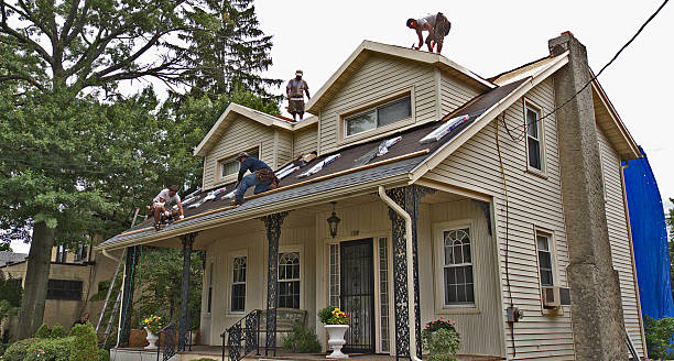Best Storm Damage Roof Repair  in Farmer City, IL