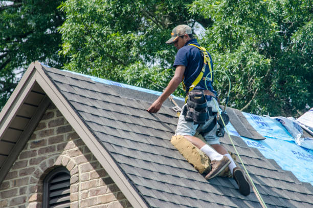 Best Roof Waterproofing Services  in Farmer City, IL